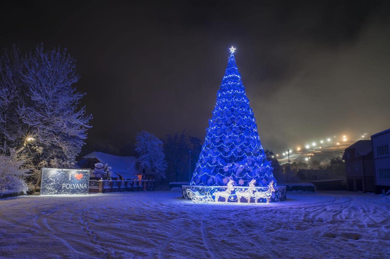 Сонячна Соната Hotel Polyana  Buitenkant foto