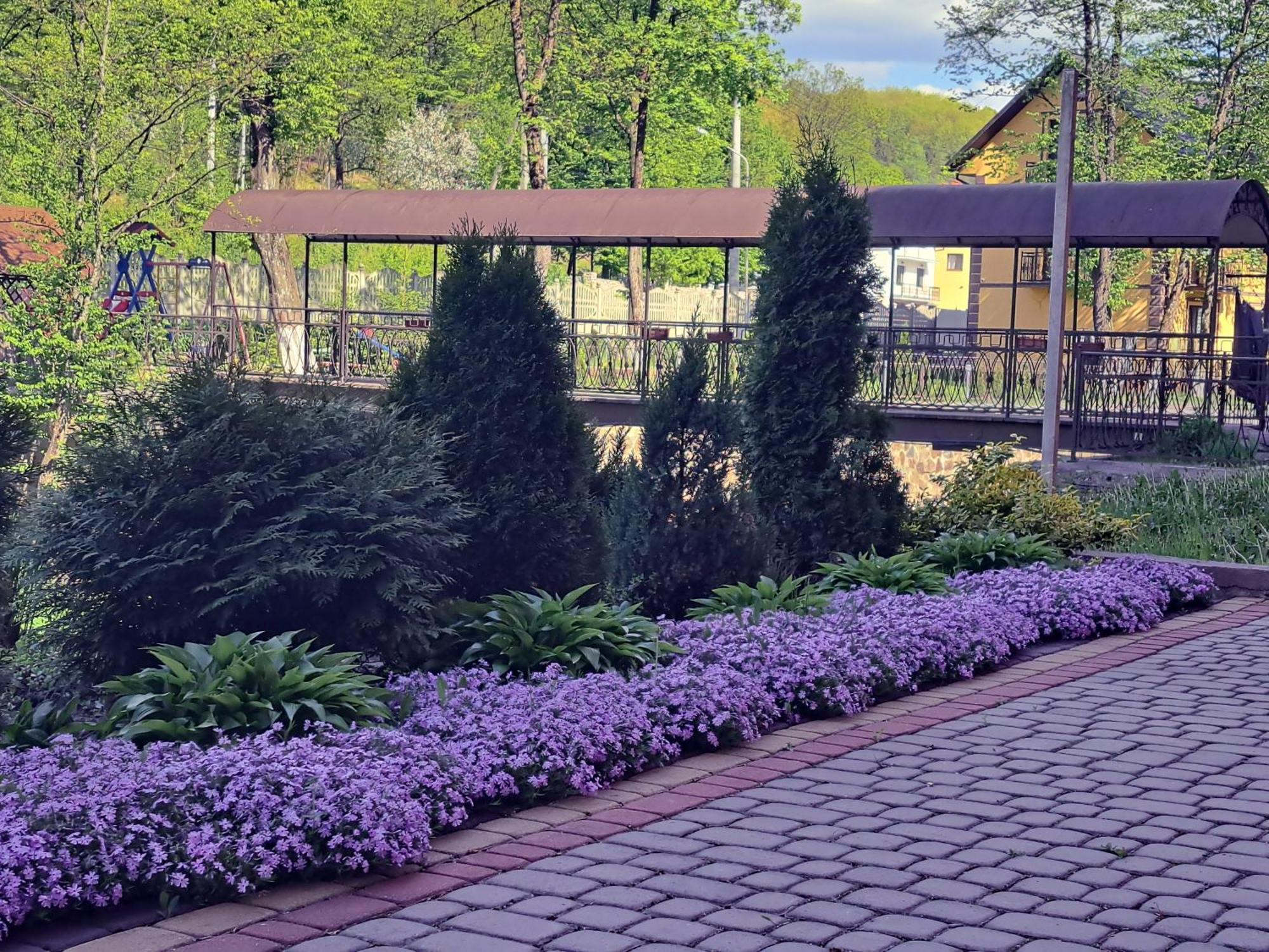 Сонячна Соната Hotel Polyana  Buitenkant foto